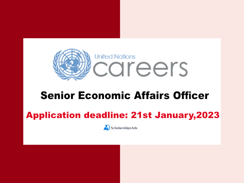 Senior Economic Affairs Officer Job at United Nations HQ 2023
